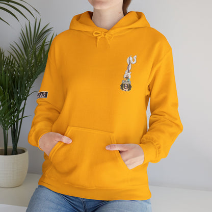 Obanai Iguro (DEMON SLAYER) Hoodie